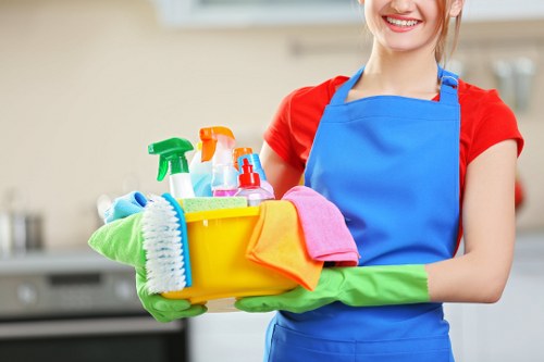 Professional carpet cleaners managing safety in a home