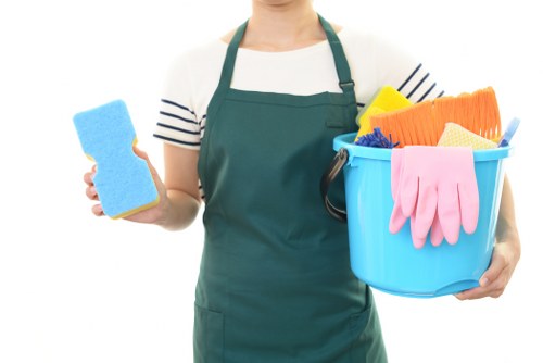 Professional sofa cleaning in a Forest Hill living room