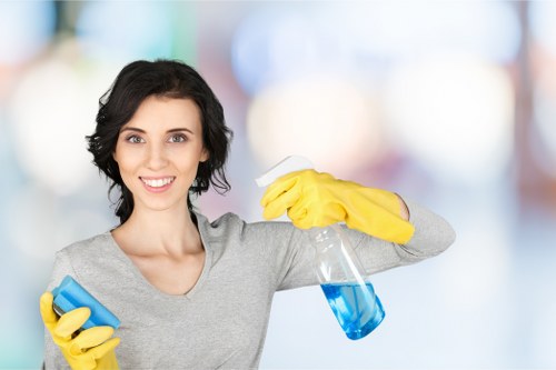 Fresh home interior after pet stain odour removal