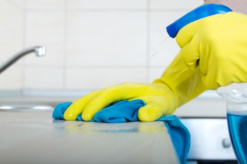 Professional carpet treatment for pet stains and smells