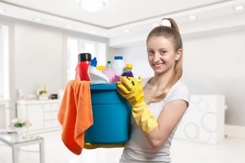 Stain treatment during mattress cleaning in Forest Hill