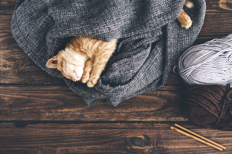 Regular cleaning window cleaning